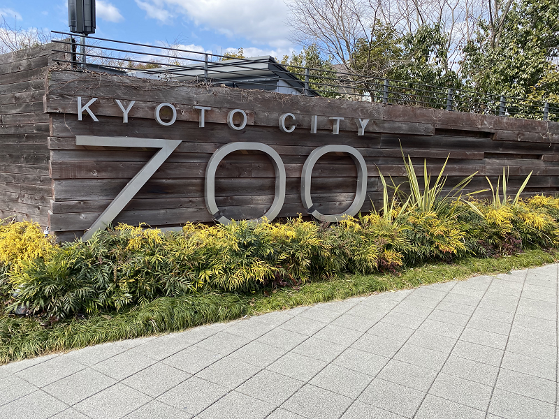 京都動物園と京都水族館レポートの記事情報