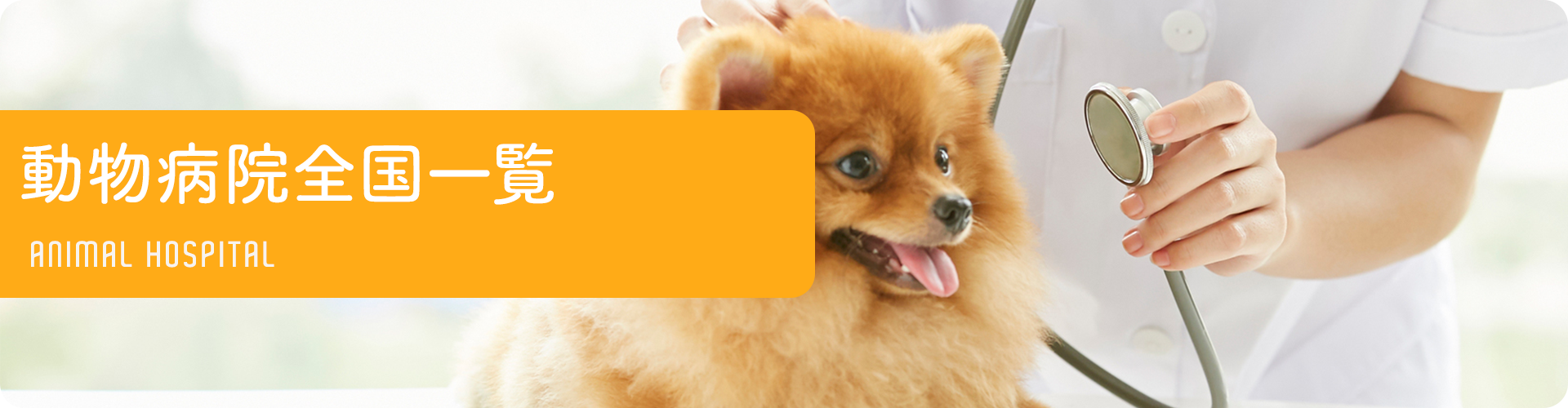 動物病院全国一覧