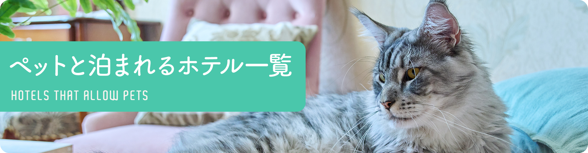 ペットと泊まれるホテル一覧