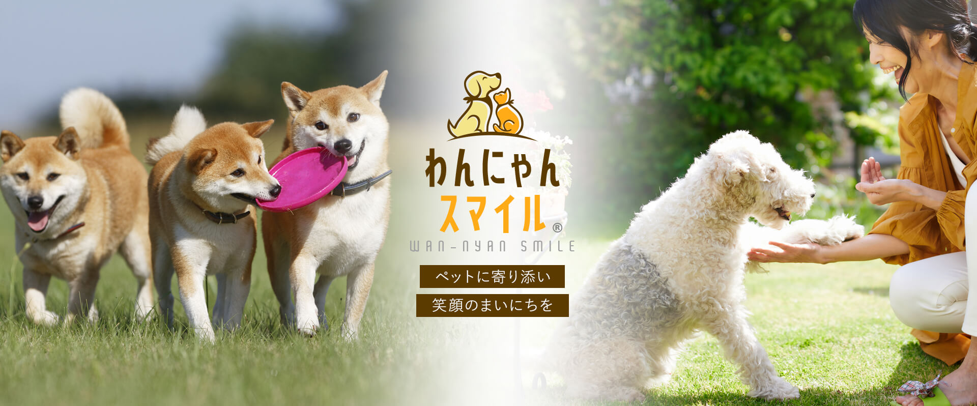 トップのメインビジュアル2