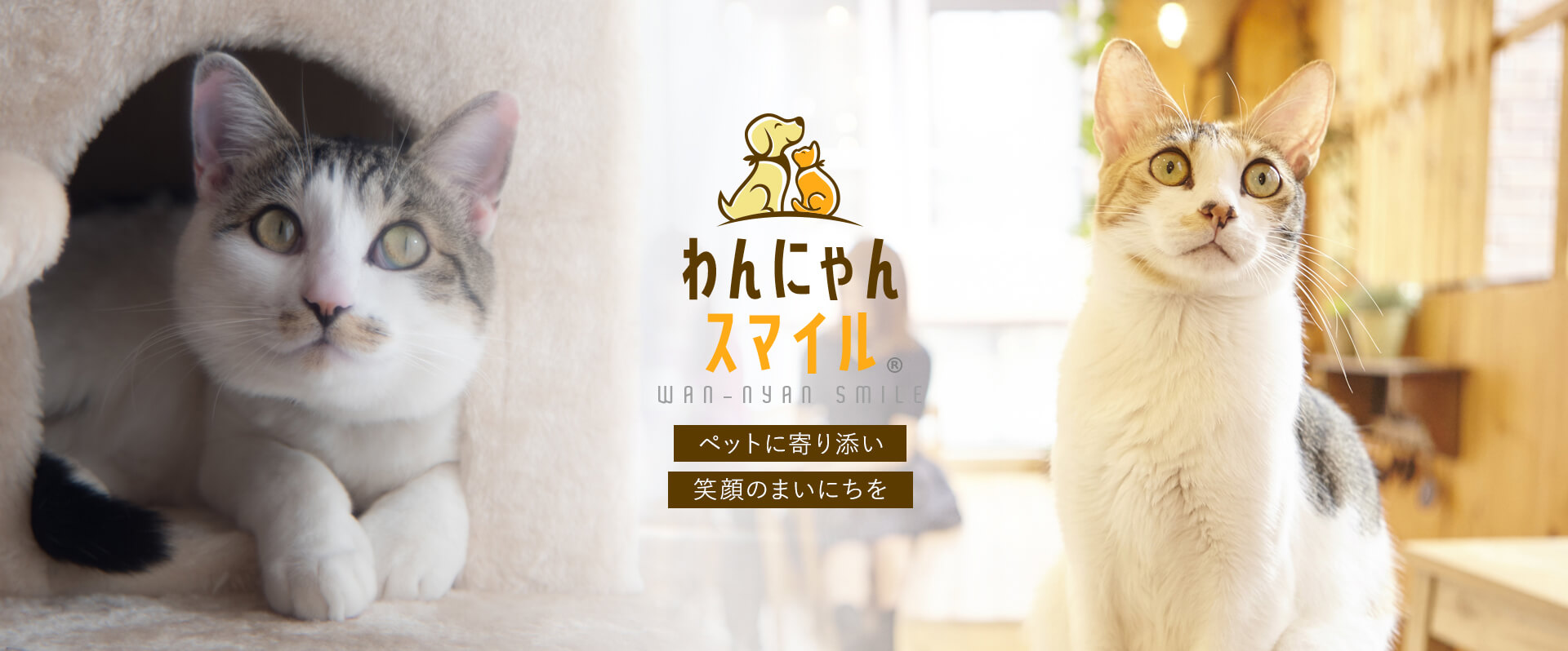 トップのメインビジュアル3
