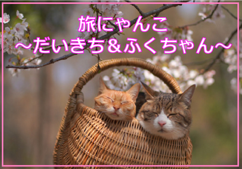 旅にゃんこ　～だいきち＆ふくちゃん～