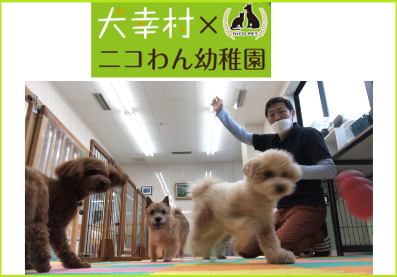犬の幼稚園＆トリミング　犬幸村～けんこうむら～
