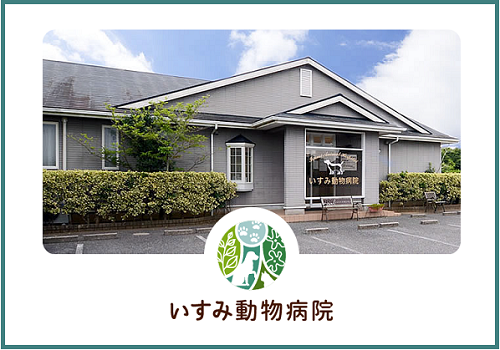 いすみ動物病院　田中院長コラム