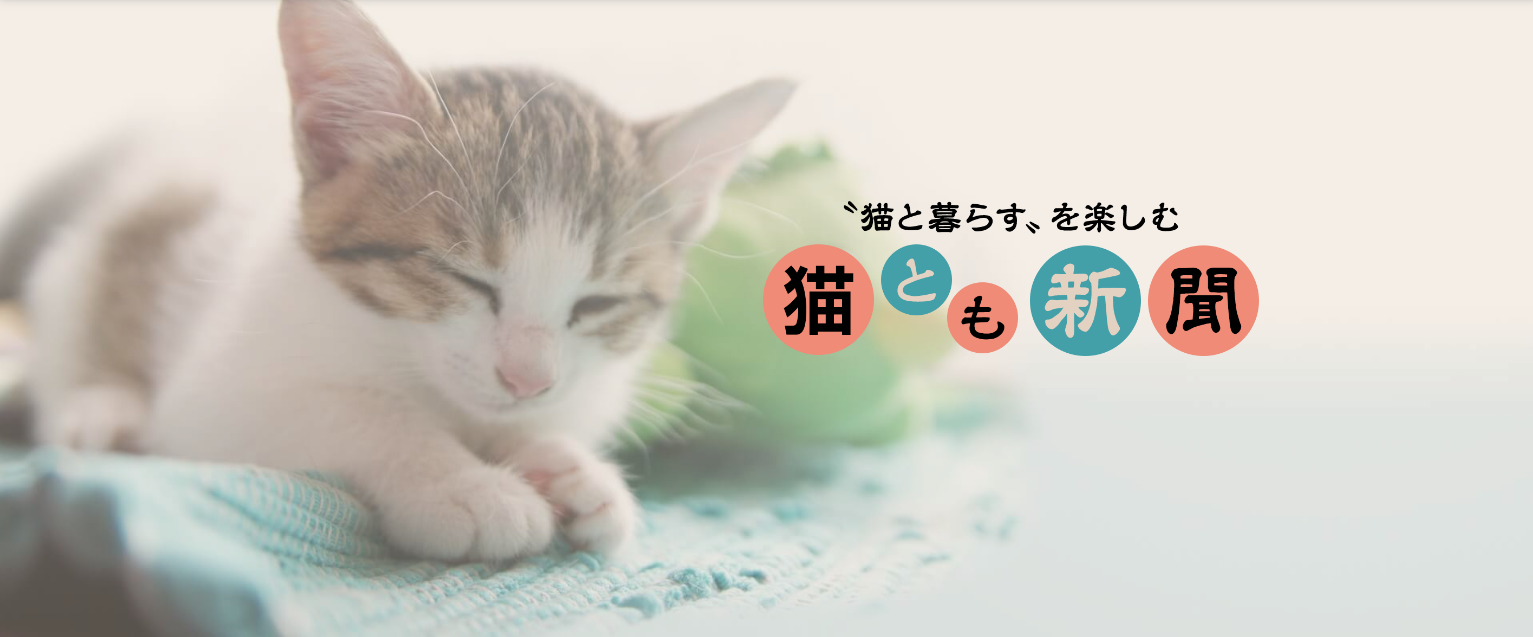 猫とも新聞