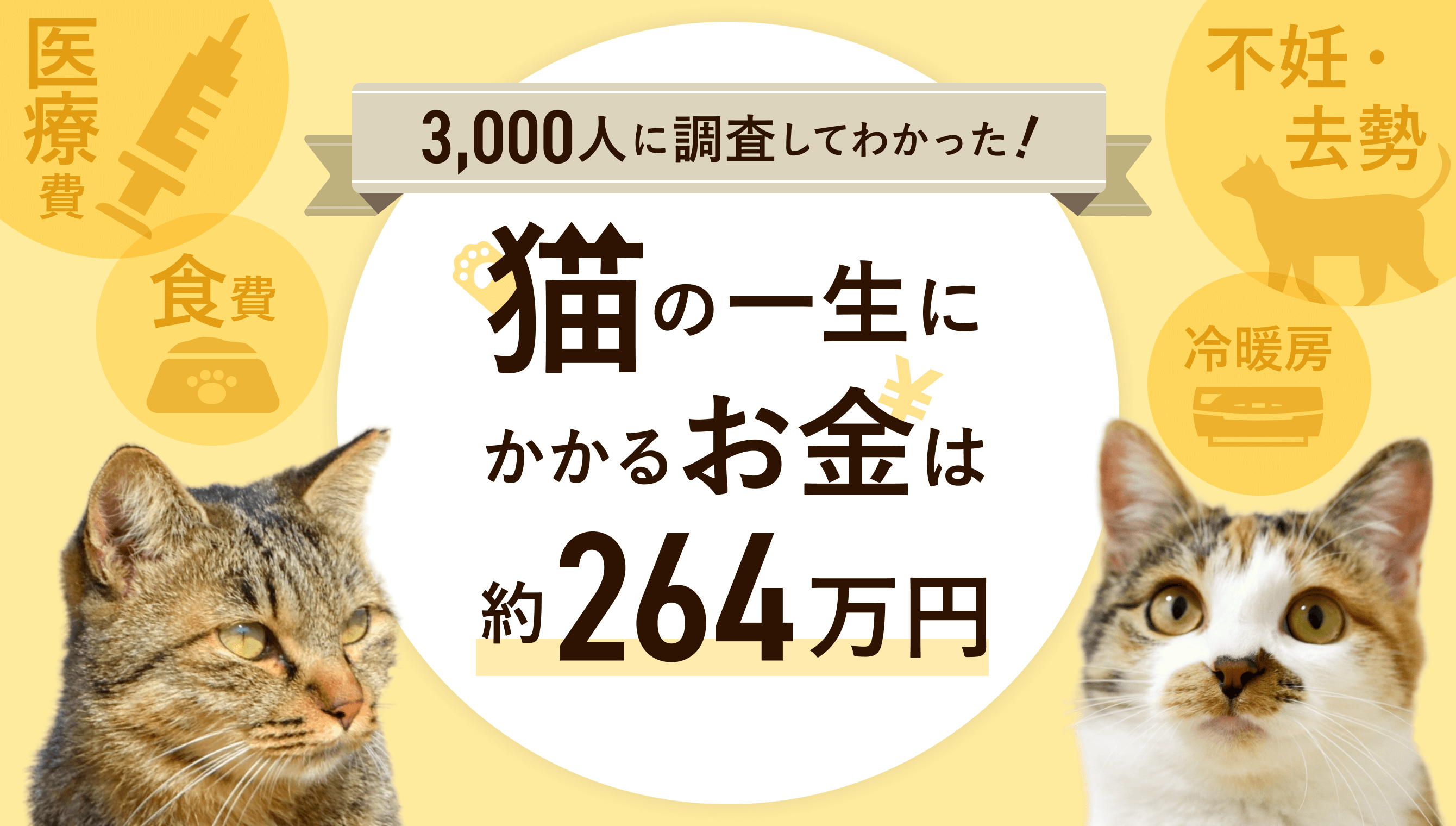 猫の一生にかかるお金はいくら？の記事情報