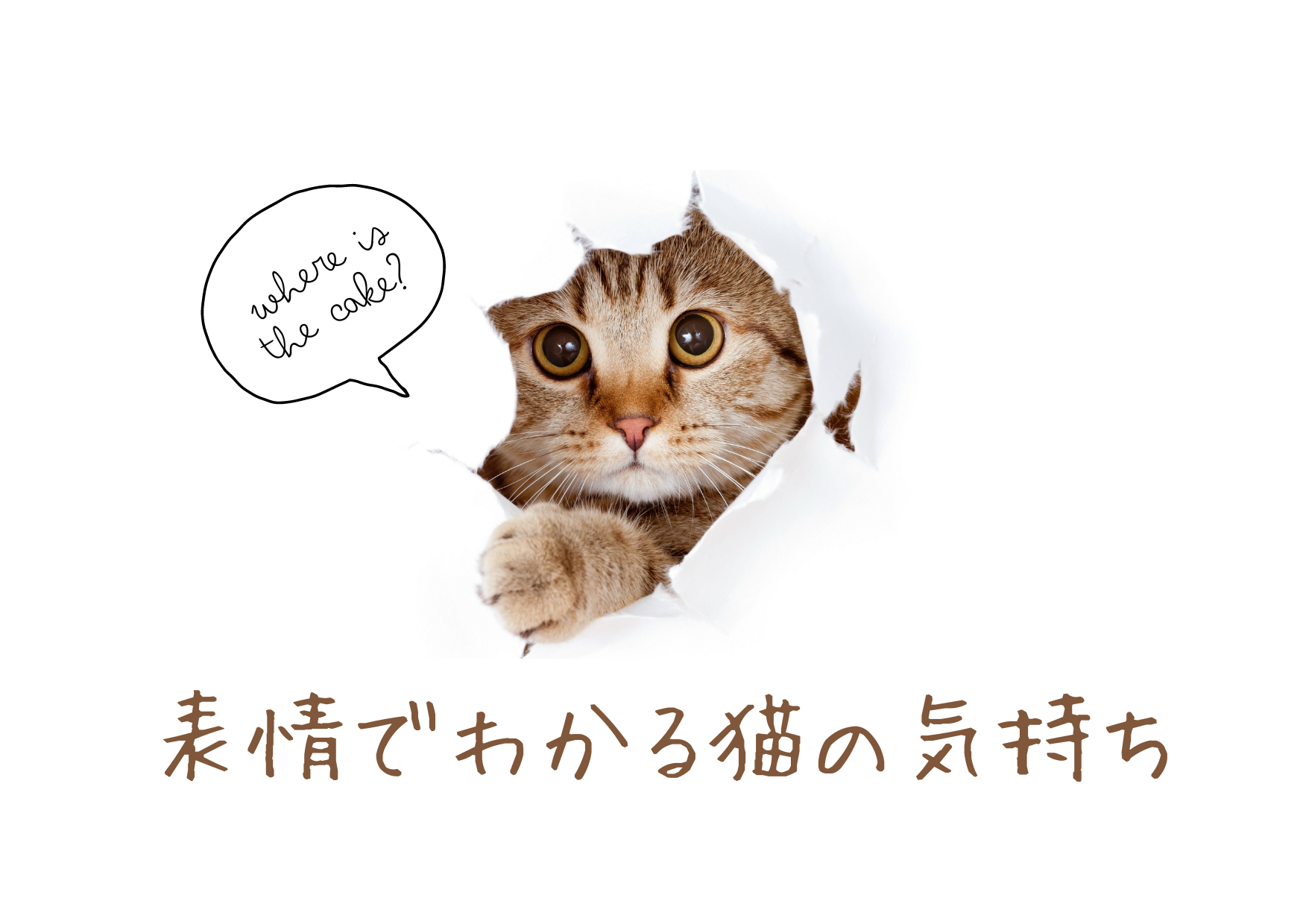 表情でわかる猫の気持ちの記事情報
