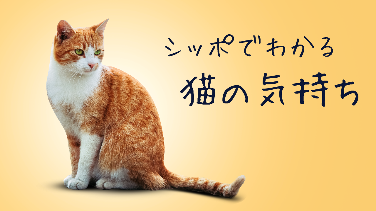 シッポでわかる猫の気持ちの記事情報