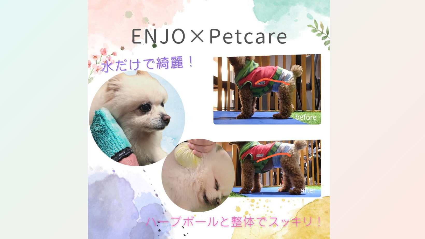 水だけクロス/エンヨー&petcare Tomo