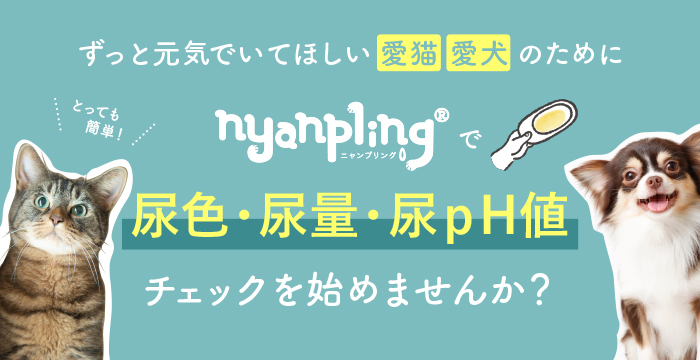 nyanpling