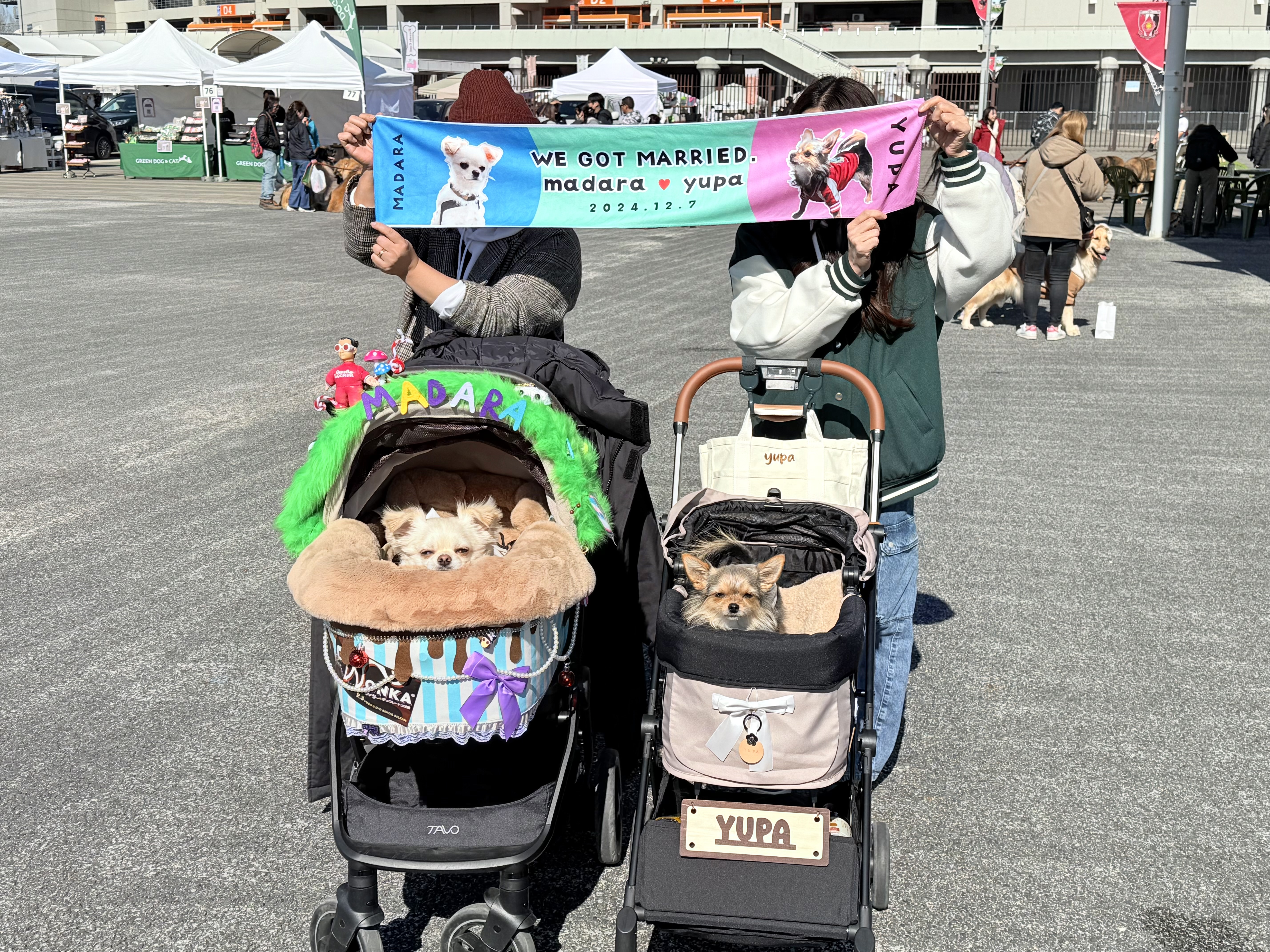 埼玉県さいたま市 「わんこのフェス」 埼玉スタジアム