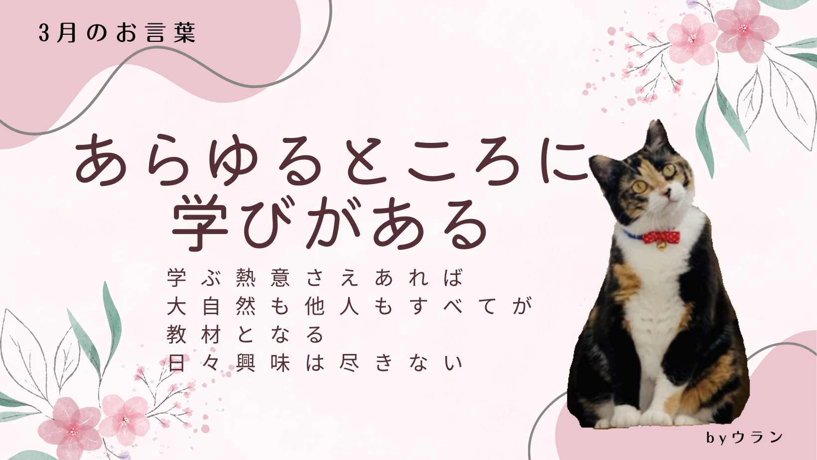 ウランちゃんのお言葉集【３月のお言葉】