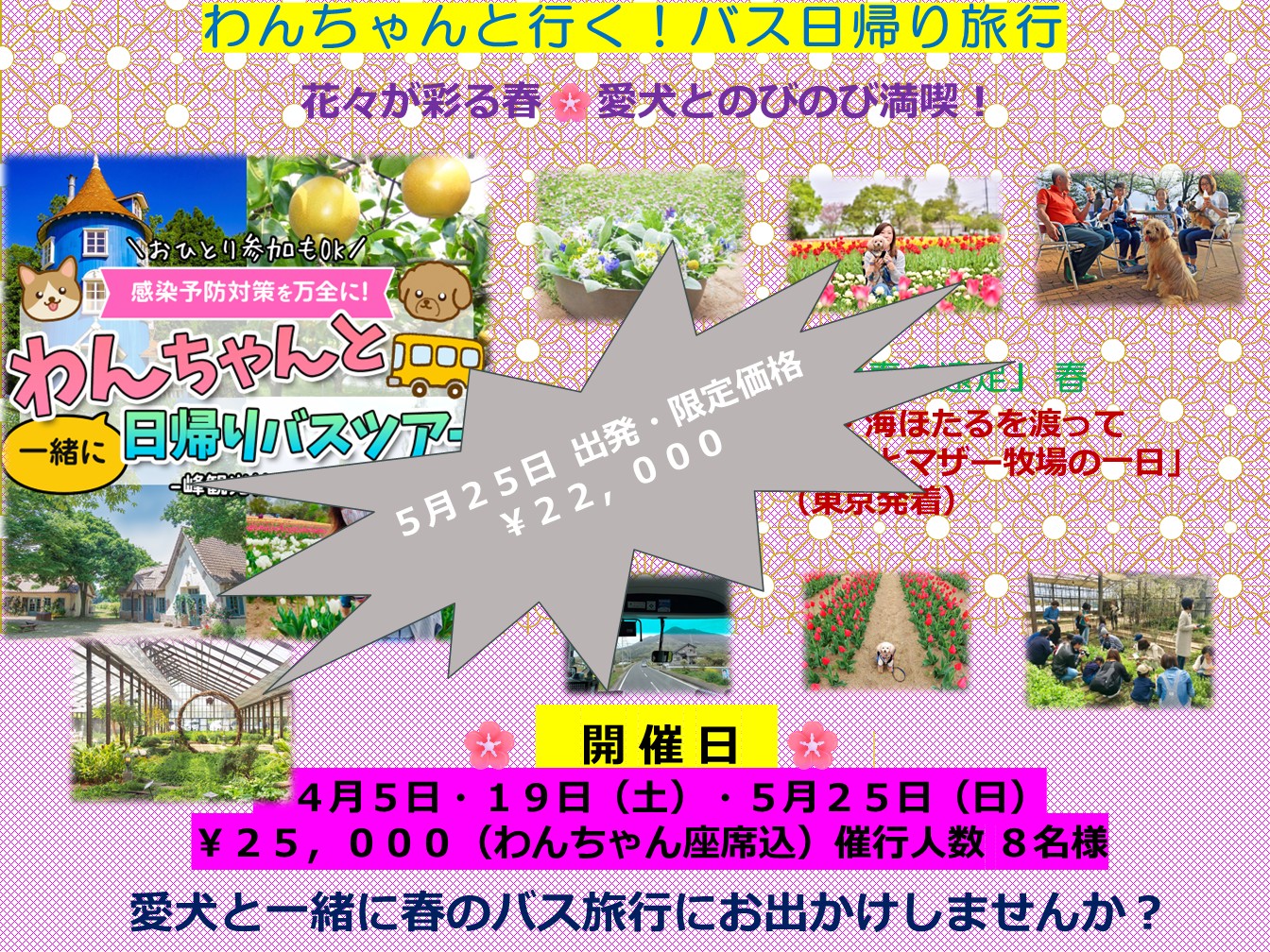 わんちゃんとバス旅行　4月・5月追加設定　※5月25日は限定価格