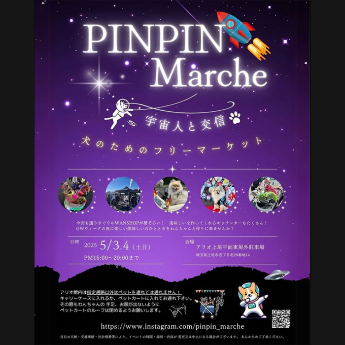 PINPIN Marche 宇宙人と交信（埼玉）